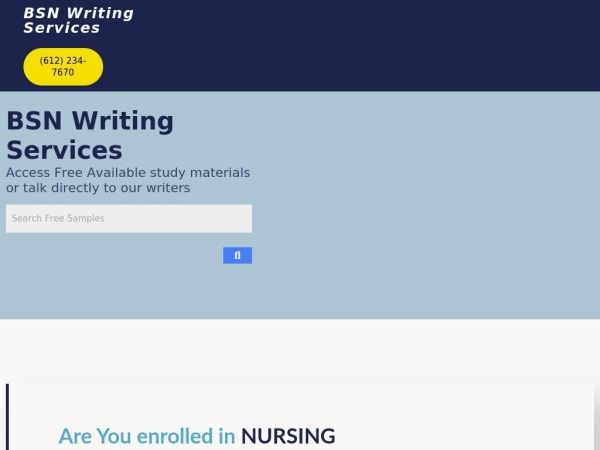 bsnwritingservices.com