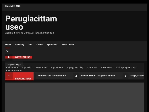 perugiacittamuseo.it