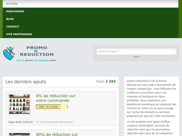 promo-reduction.fr
